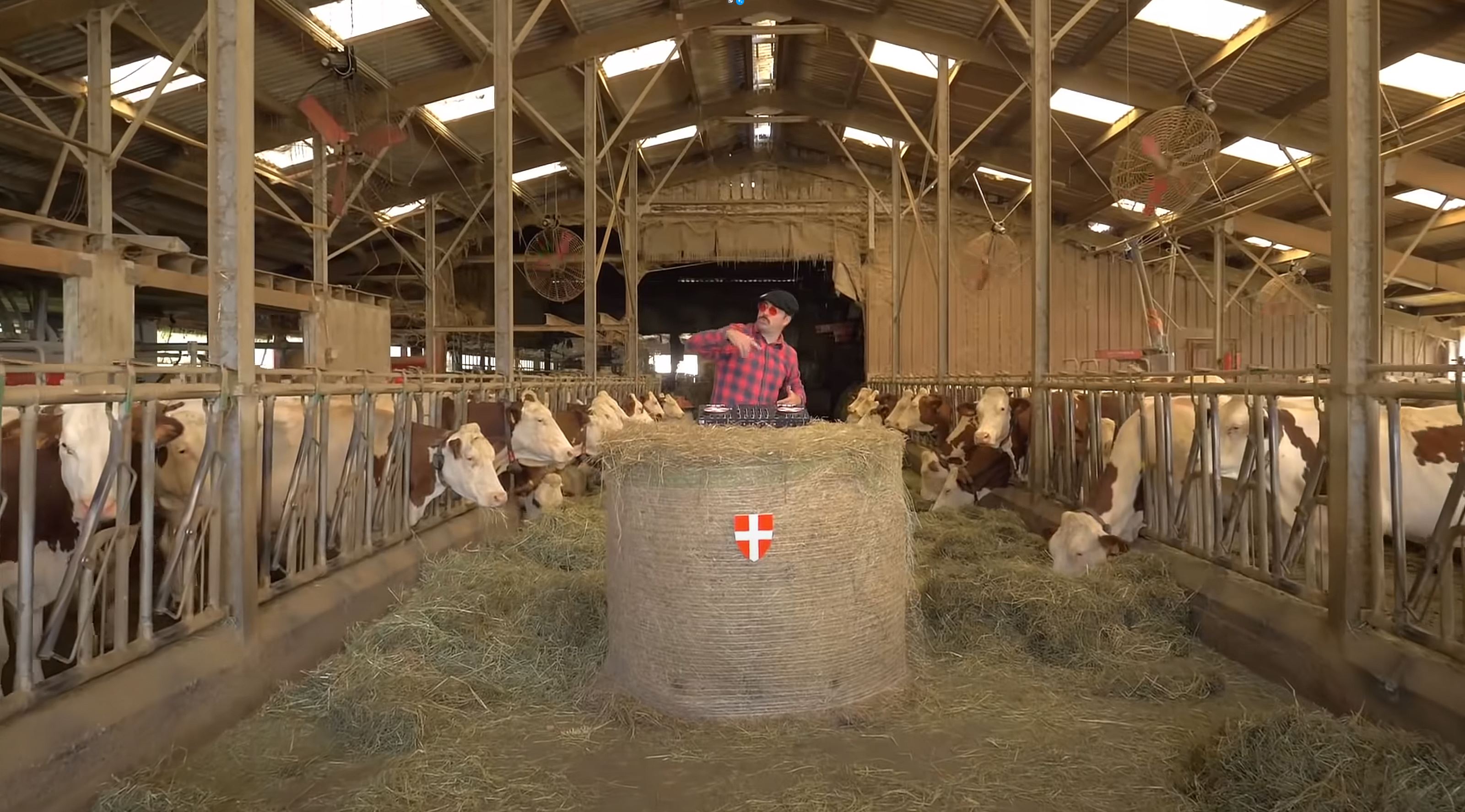 DJ Matafan / Les Cloches des Vaches
